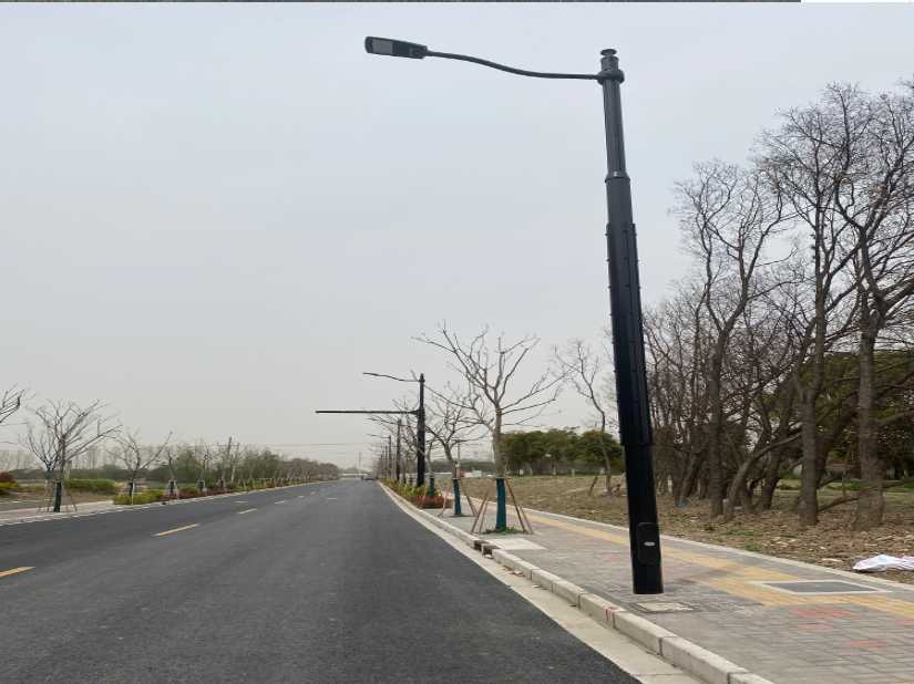 阜南县上海综合杆 太阳能路灯工程